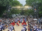 DSC00973.JPG